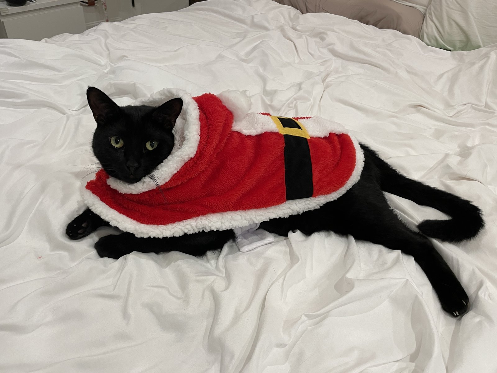 Ricky in his Santa outfit
