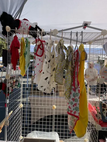 A rack of little pet shirts and dresses in watermelon, floral, and polka-dot prints, with a black cat plushie modeling one on top