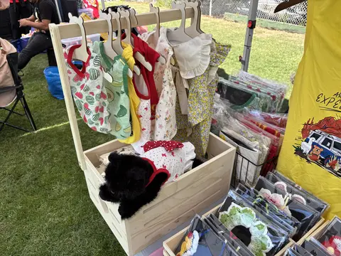 Cat dresses and apparel on a small hanging rack, with a black cat plush peeking out of the crate